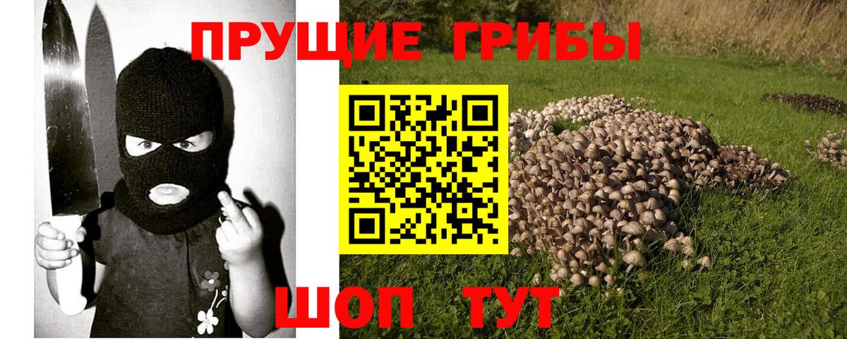 Галлюциногенные грибы Psilocybine cubensis  Вход с VPN  Советская Гавань  Галлюциногенные грибы прущие грибы 